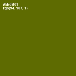 #5E6B01 - Green Leaf Color Image