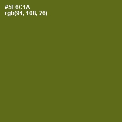 #5E6C1A - Green Leaf Color Image