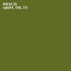 #5E6C25 - Chalet Green Color Image