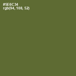 #5E6C34 - Chalet Green Color Image