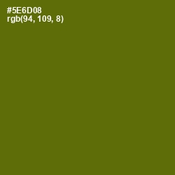 #5E6D08 - Green Leaf Color Image
