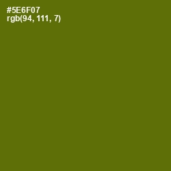 #5E6F07 - Green Leaf Color Image