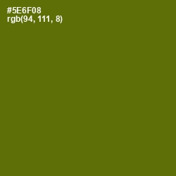 #5E6F08 - Green Leaf Color Image