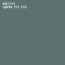 #5E7171 - Cutty Sark Color Image