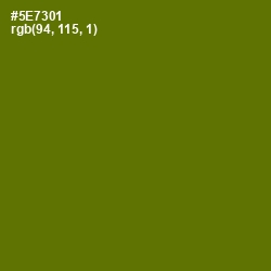 #5E7301 - Green Leaf Color Image