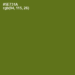 #5E731A - Green Leaf Color Image