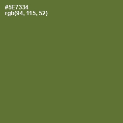 #5E7334 - Chalet Green Color Image