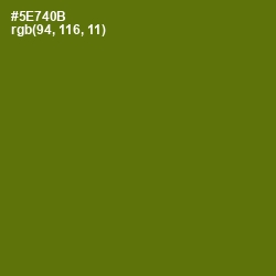 #5E740B - Green Leaf Color Image