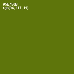#5E750B - Green Leaf Color Image