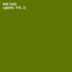 #5E7603 - Green Leaf Color Image