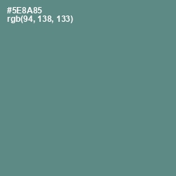 #5E8A85 - Smalt Blue Color Image