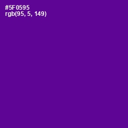 #5F0595 - Pigment Indigo Color Image