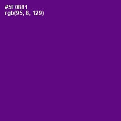 #5F0881 - Pigment Indigo Color Image