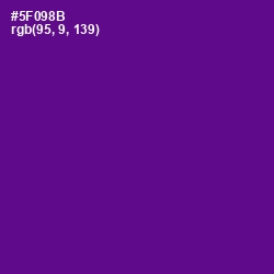 #5F098B - Pigment Indigo Color Image