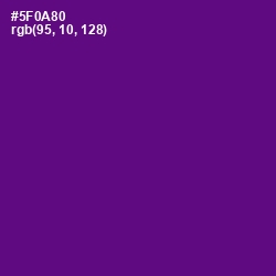 #5F0A80 - Pigment Indigo Color Image