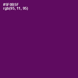 #5F0B5F - Clairvoyant Color Image