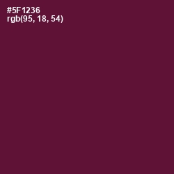 #5F1236 - Wine Berry Color Image