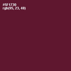 #5F1730 - Wine Berry Color Image