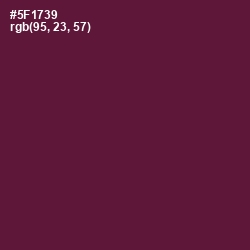 #5F1739 - Wine Berry Color Image