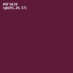 #5F1A39 - Wine Berry Color Image