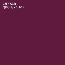 #5F1A3D - Wine Berry Color Image