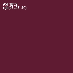 #5F1B32 - Wine Berry Color Image