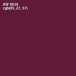 #5F1B39 - Wine Berry Color Image