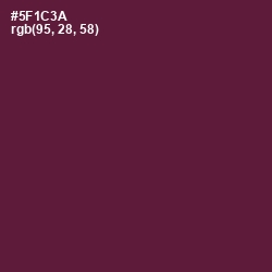 #5F1C3A - Wine Berry Color Image