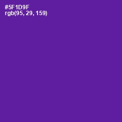 #5F1D9F - Pigment Indigo Color Image