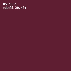 #5F1E31 - Wine Berry Color Image