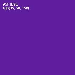 #5F1E9E - Pigment Indigo Color Image