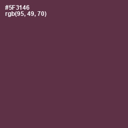 #5F3146 - Voodoo Color Image