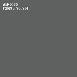 #5F6060 - Shuttle Gray Color Image