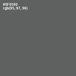 #5F6160 - Shuttle Gray Color Image