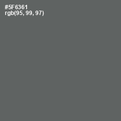 #5F6361 - Shuttle Gray Color Image