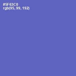 #5F63C0 - Indigo Color Image