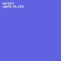 #5F63E1 - Royal Blue Color Image