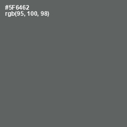 #5F6462 - Shuttle Gray Color Image