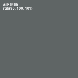 #5F6465 - Shuttle Gray Color Image