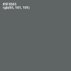 #5F6565 - Shuttle Gray Color Image