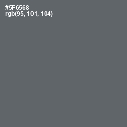 #5F6568 - Shuttle Gray Color Image