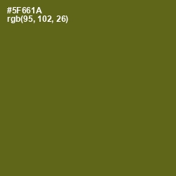 #5F661A - Green Leaf Color Image