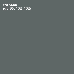#5F6666 - Shuttle Gray Color Image