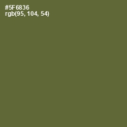 #5F6836 - Chalet Green Color Image