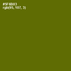 #5F6B03 - Green Leaf Color Image