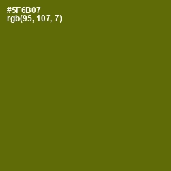 #5F6B07 - Green Leaf Color Image