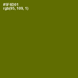 #5F6D01 - Green Leaf Color Image