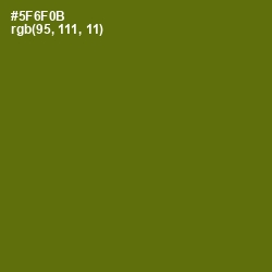 #5F6F0B - Green Leaf Color Image
