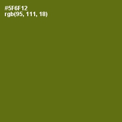 #5F6F12 - Green Leaf Color Image