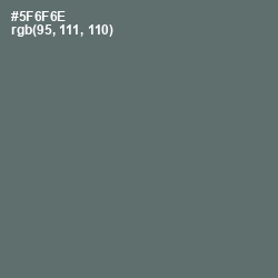 #5F6F6E - Shuttle Gray Color Image